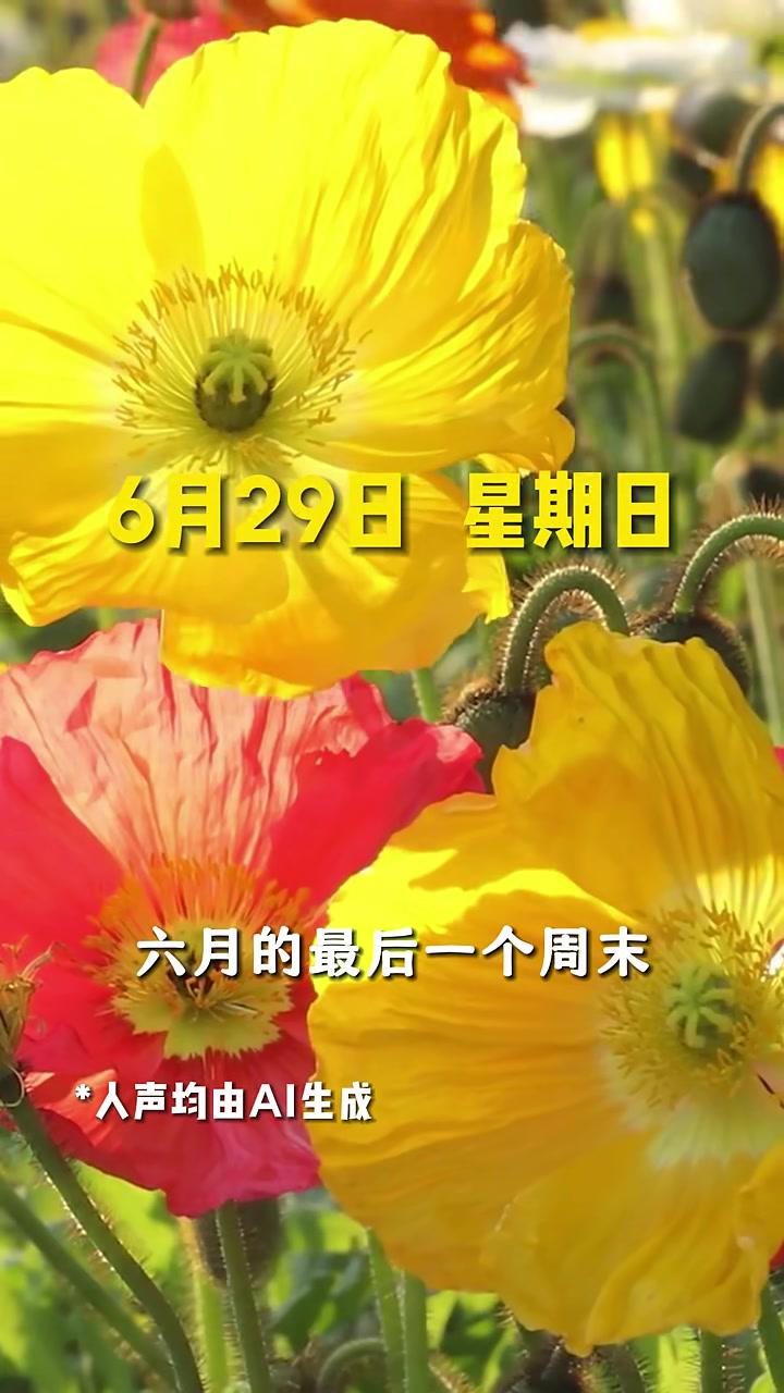 今天是2025年6月29日星期日。六月的最后一个周末,愿你的生活如诗如画,吉祥美满,幸福如