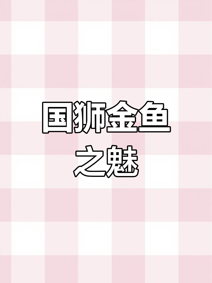 金鱼的魅力与国狮之美