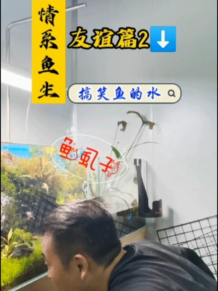 鱼虱子你了解嘛