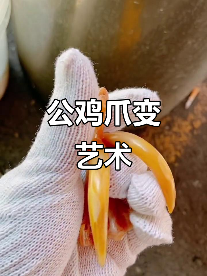 这只公鸡爪子竟然长成了艺术品,看看它的“月牙湾”