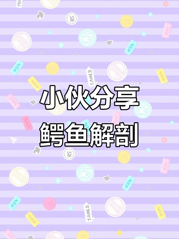 农村小伙揭秘鳄鱼分解过程,养殖场创业故事