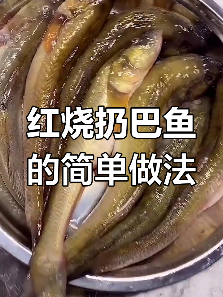 红烧扔巴鱼,家常做法大揭秘