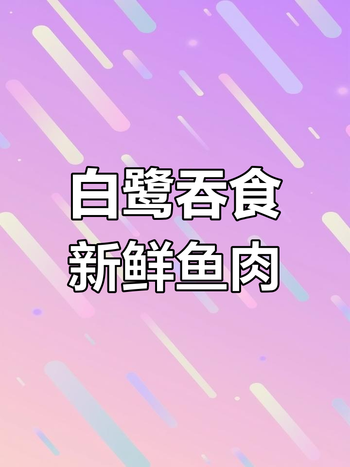 白鹭吃鱼大快朵颐,脖子受不了挣扎的生鱼宴