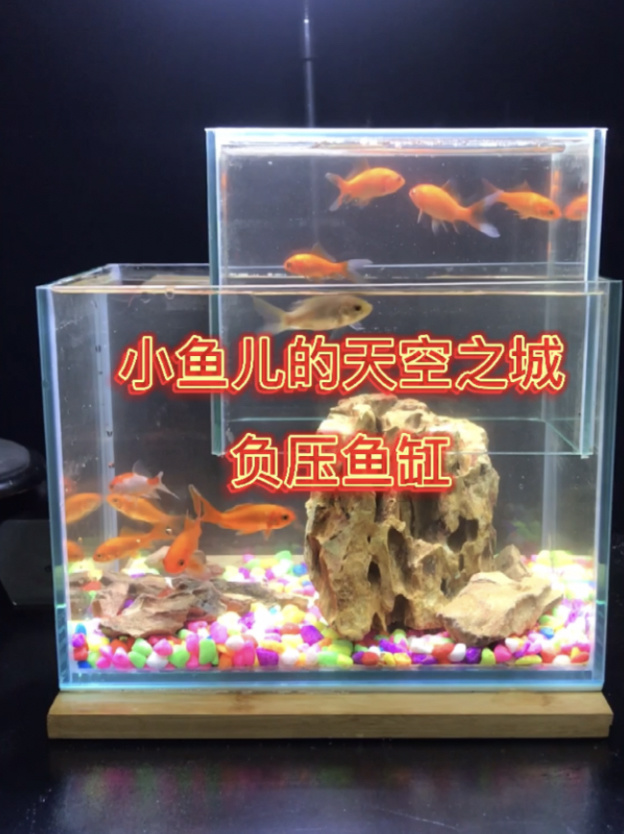 DIY手工制作负压小鱼缸