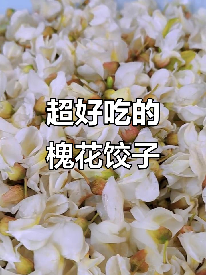 槐花饺子馅的绝佳做法，香气扑鼻让人怀念