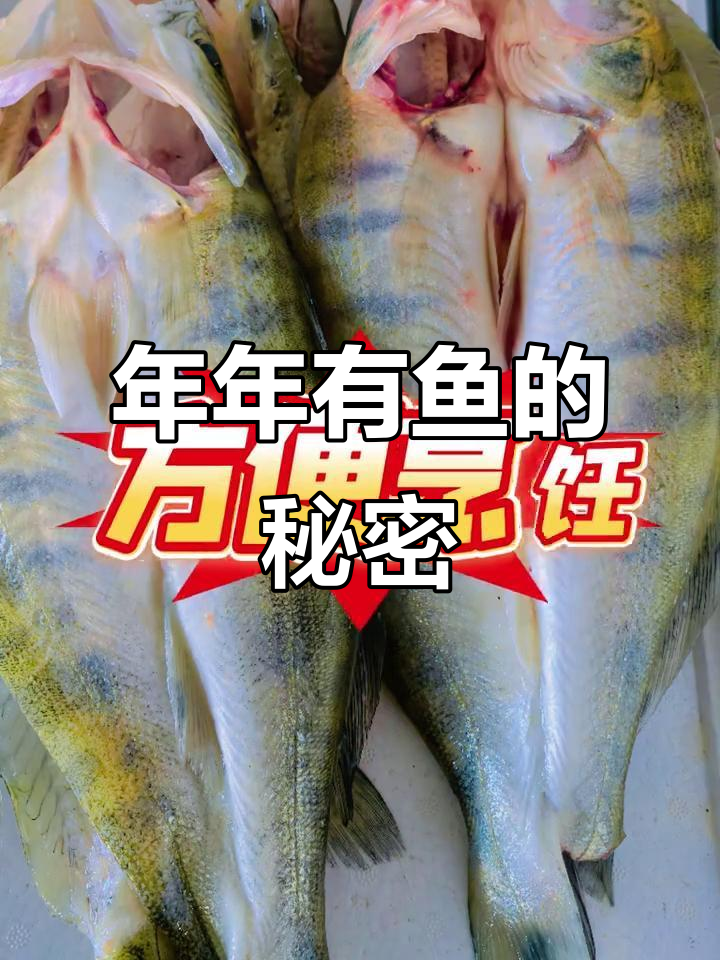 梭鲈鱼,鲜美无比!尝过才知道的美味