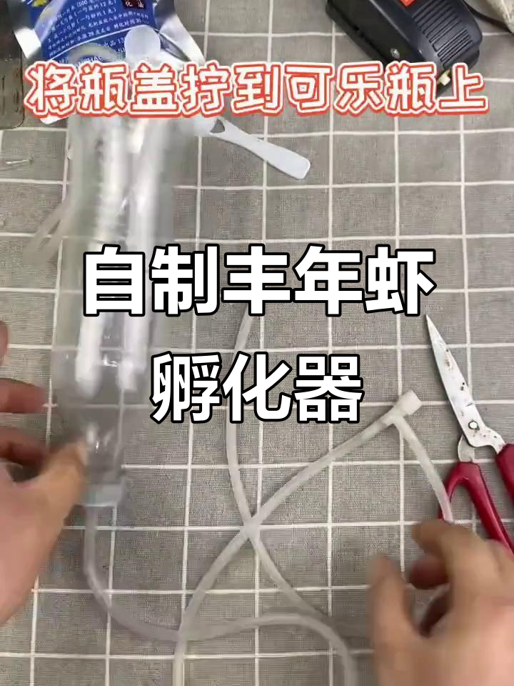 简易丰年虾孵化器制作，轻松搞定斗鱼繁殖