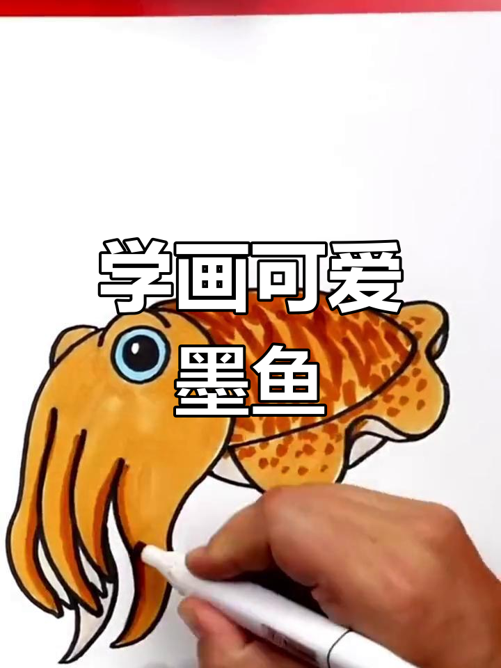 墨鱼卡通画法,零基础也能轻松学会