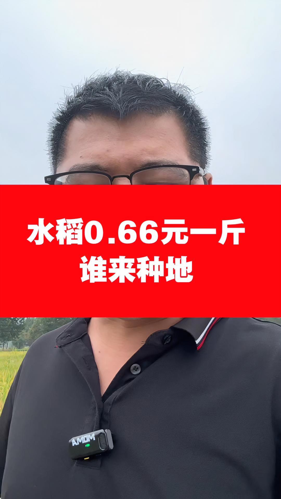 你那水稻价格多少钱一斤?三农 知识分享 种地 农作物农技110