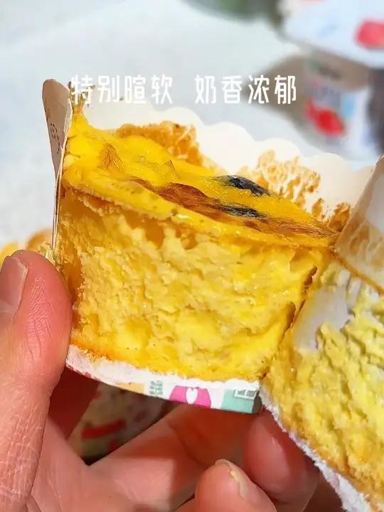 烘焙小白，没想到一次就成功了！酸奶巴斯克蛋糕有手就能做，减脂期也可以放心吃的小甜品，一点也