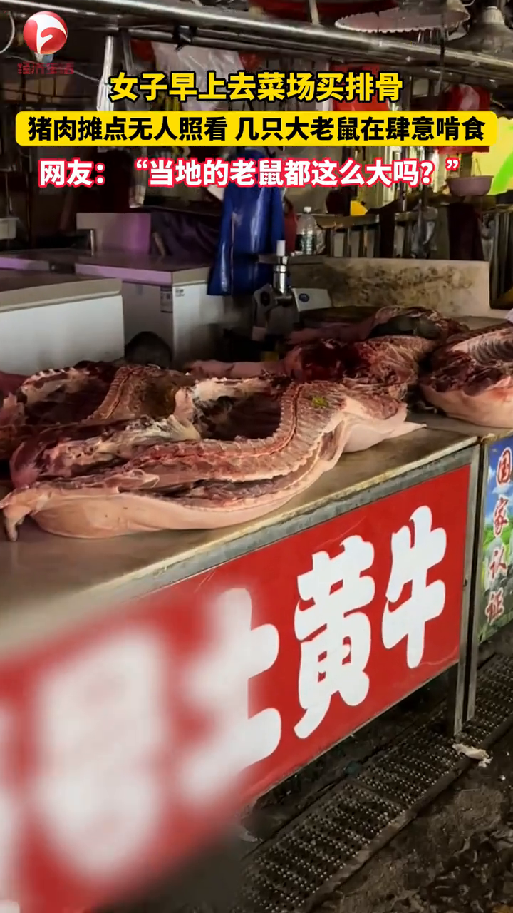 猪肉摊点无人照看时,几只大老鼠肆意啃食