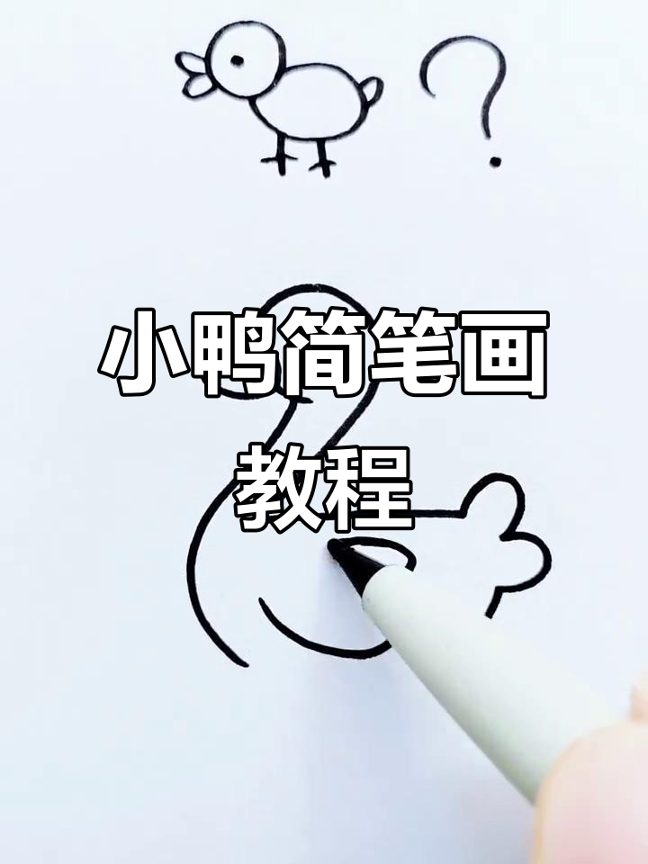 轻松学画小鸭子,步骤简单又有趣