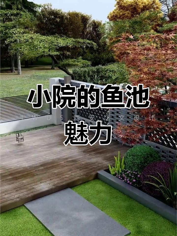 北方小院，鱼池成亮点，养鱼成了不少人的心头好