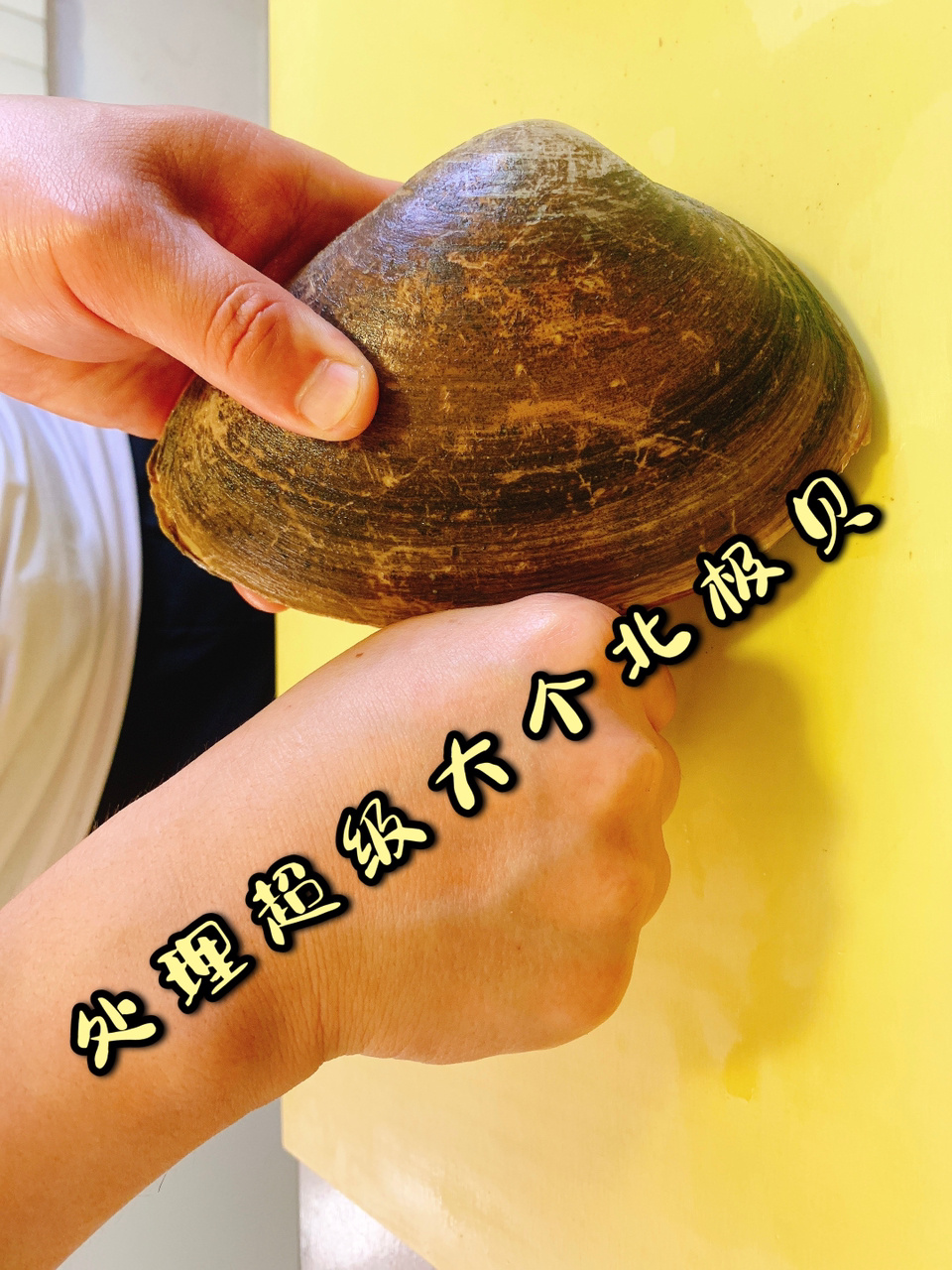 北极贝刺身和寿司的处理方法详细讲解!