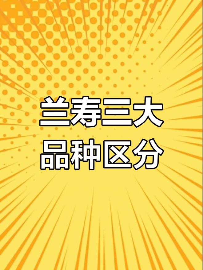 国寿、泰寿与日寿的区别,你分得清吗?