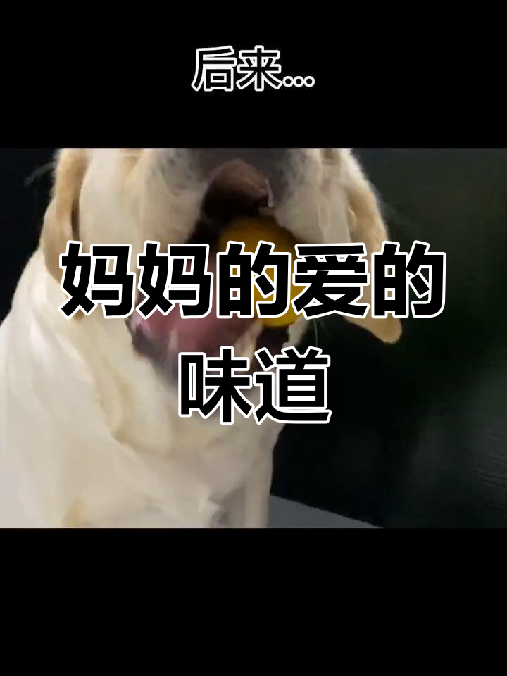 妈妈带伤回家为我做窝窝头,那一刻我明白了她的爱