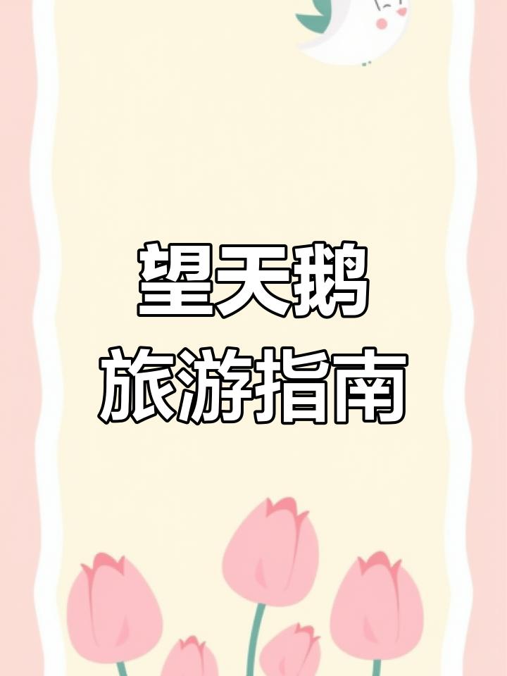 望天鹅景区全攻略:如何轻松游览精华景点