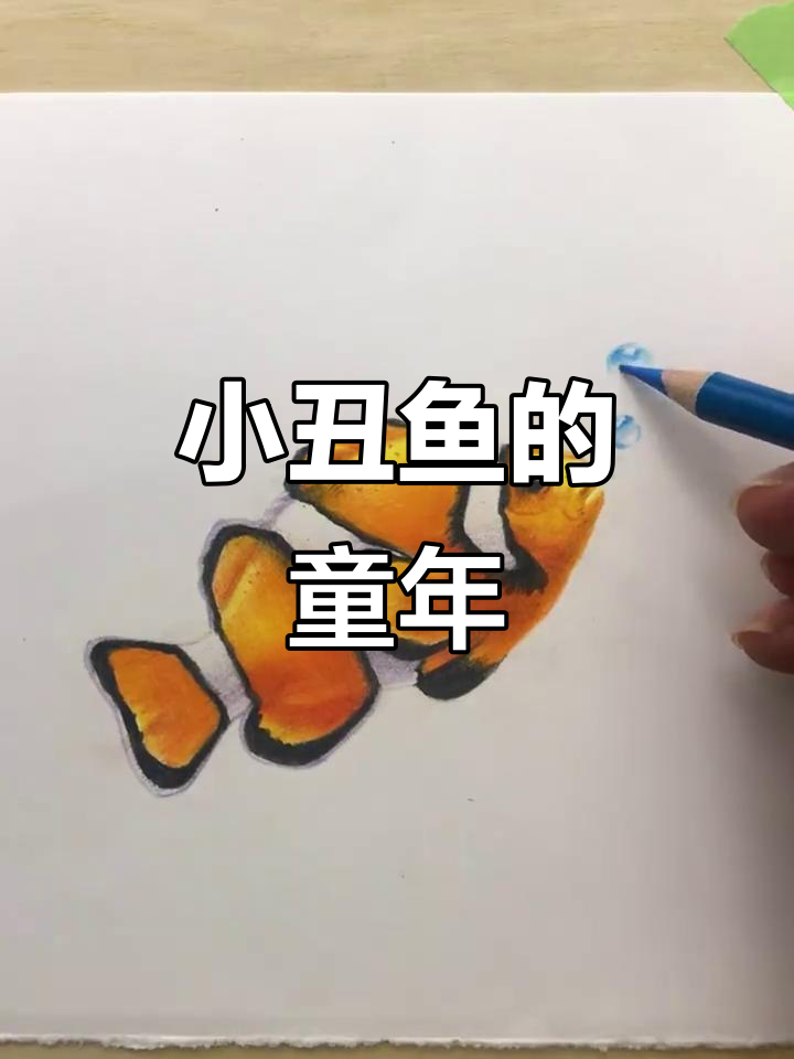 尼莫小丑鱼，彩铅轻松勾勒童年回忆！