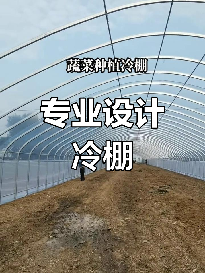 新型蔬菜大棚设计与施工,高效养殖新选择