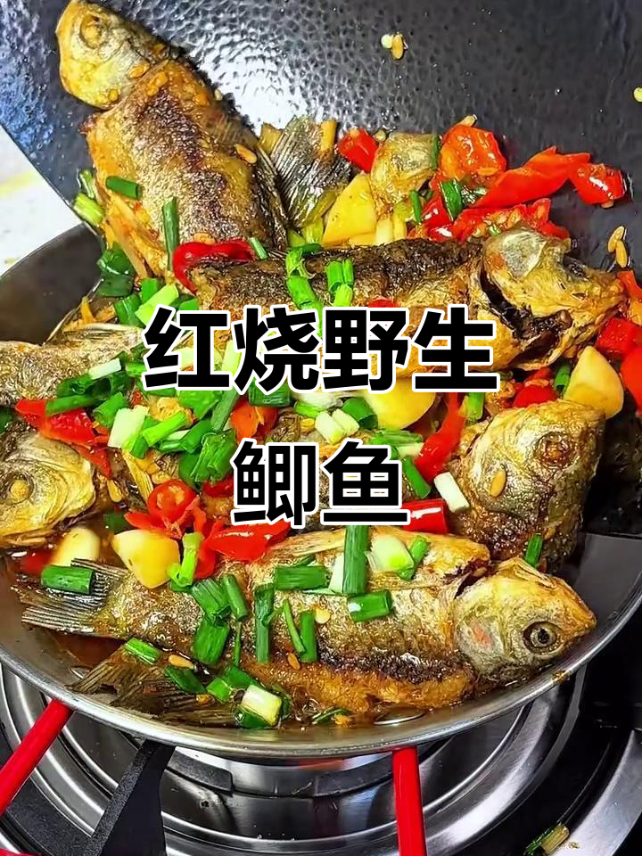 野生小鲫鱼红烧,鲜美入味,拌饭绝佳!