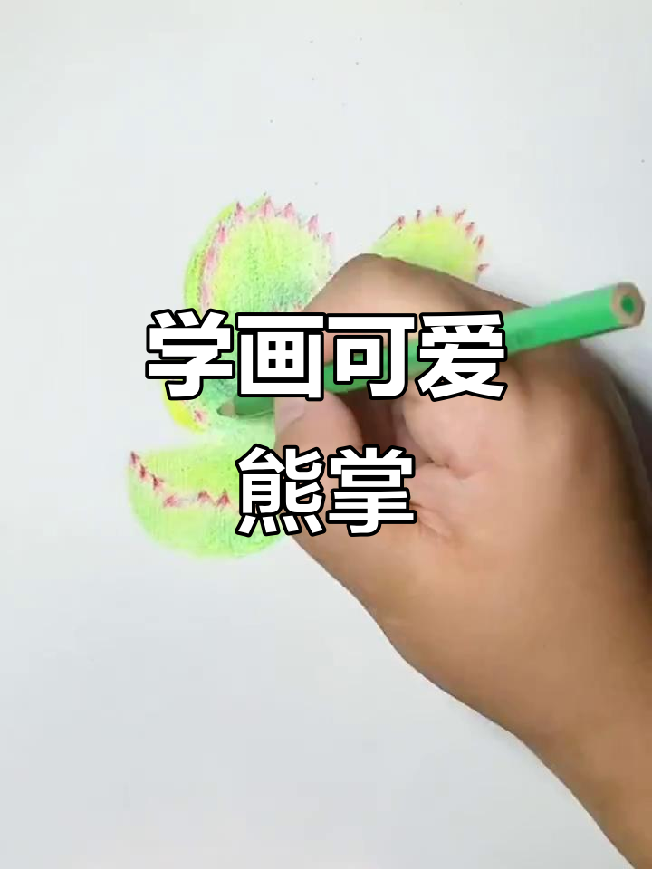 教你画可爱熊掌多肉彩铅,简单又有趣!