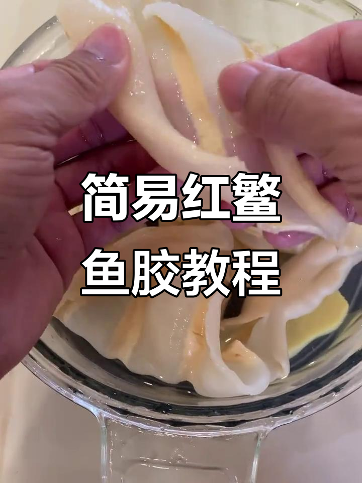 红鳘鱼胶泡发超简单,连小孩都能轻松掌握!