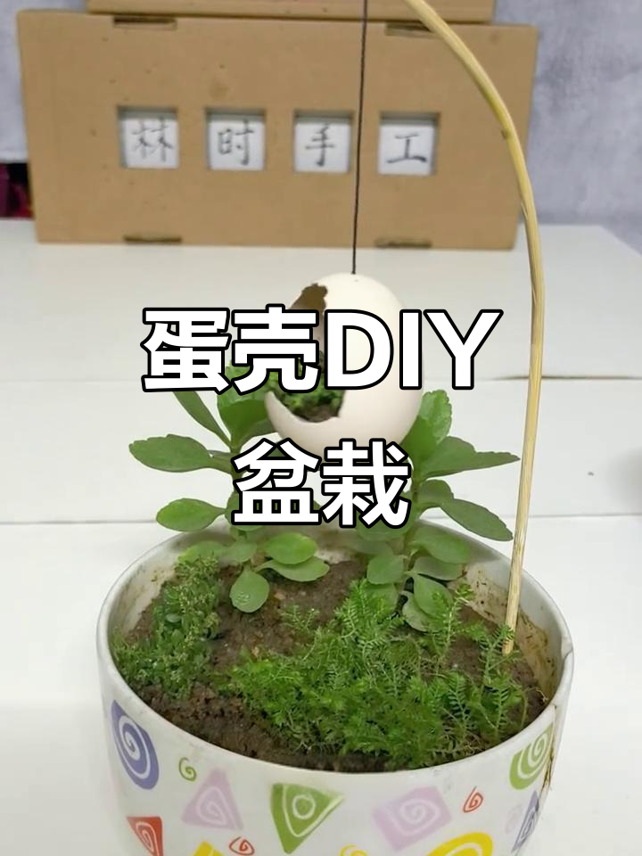 元旦手工：创意鸡蛋盆栽制作教程