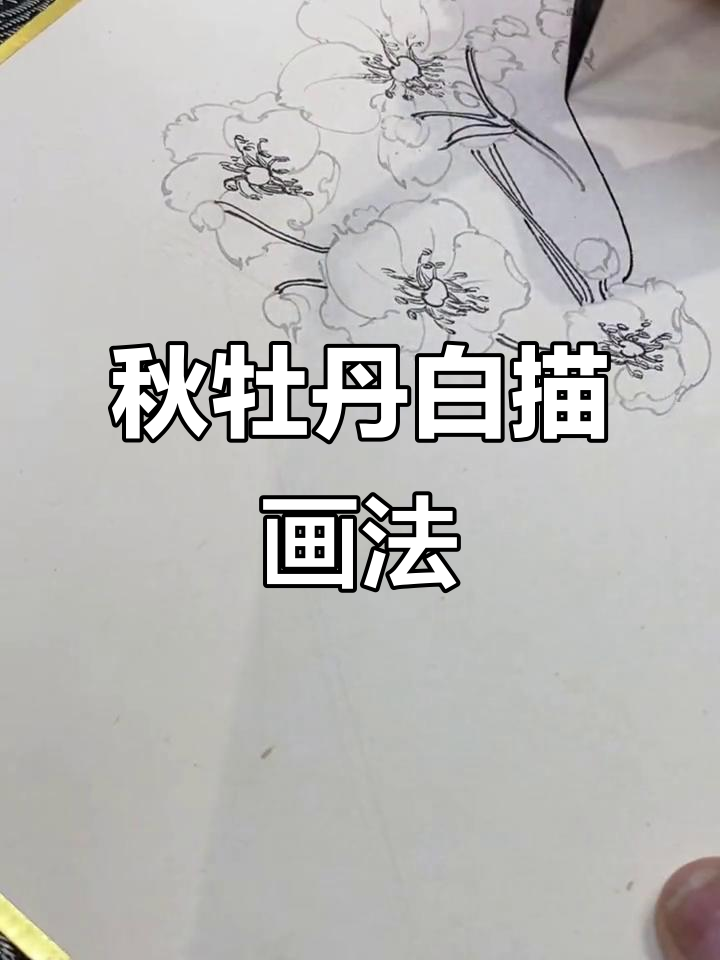 秋牡丹白描技巧解析:从花朵到枝叶的墨色变化