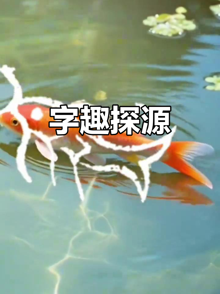 探索古文字,感受“鱼”的自由与趣味