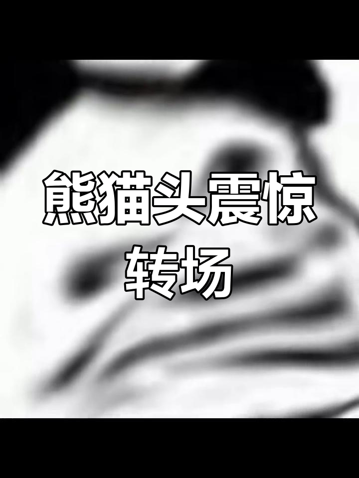 熊猫头表情包震撼转场效果