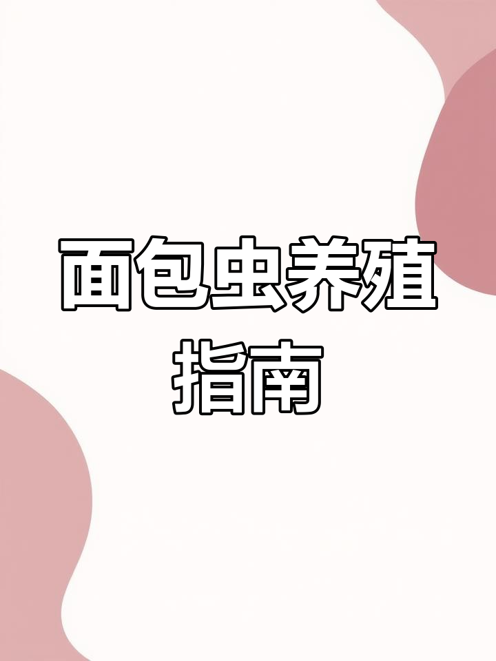 面包虫的成长过程与饲养技巧