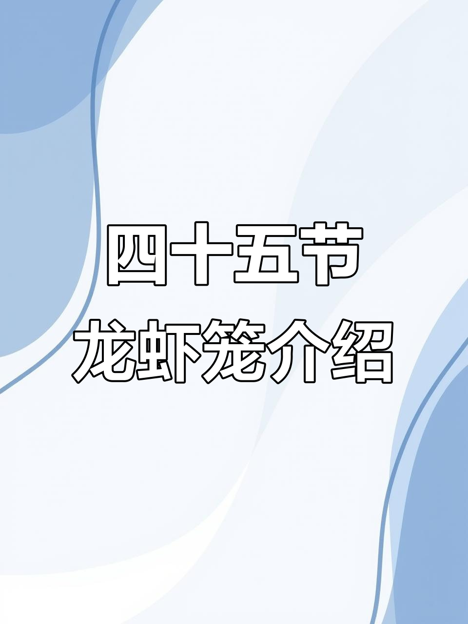 江苏渔网地笼详解：四十五节龙虾笼规格与材质全解析