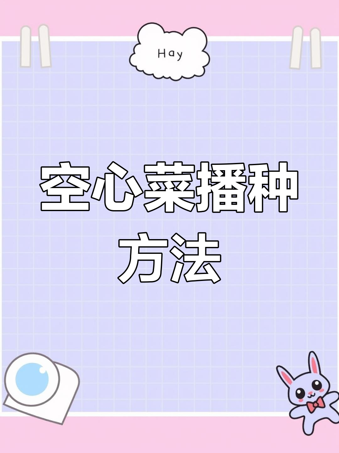 空心菜盆栽种植技巧,轻松掌握生长过程