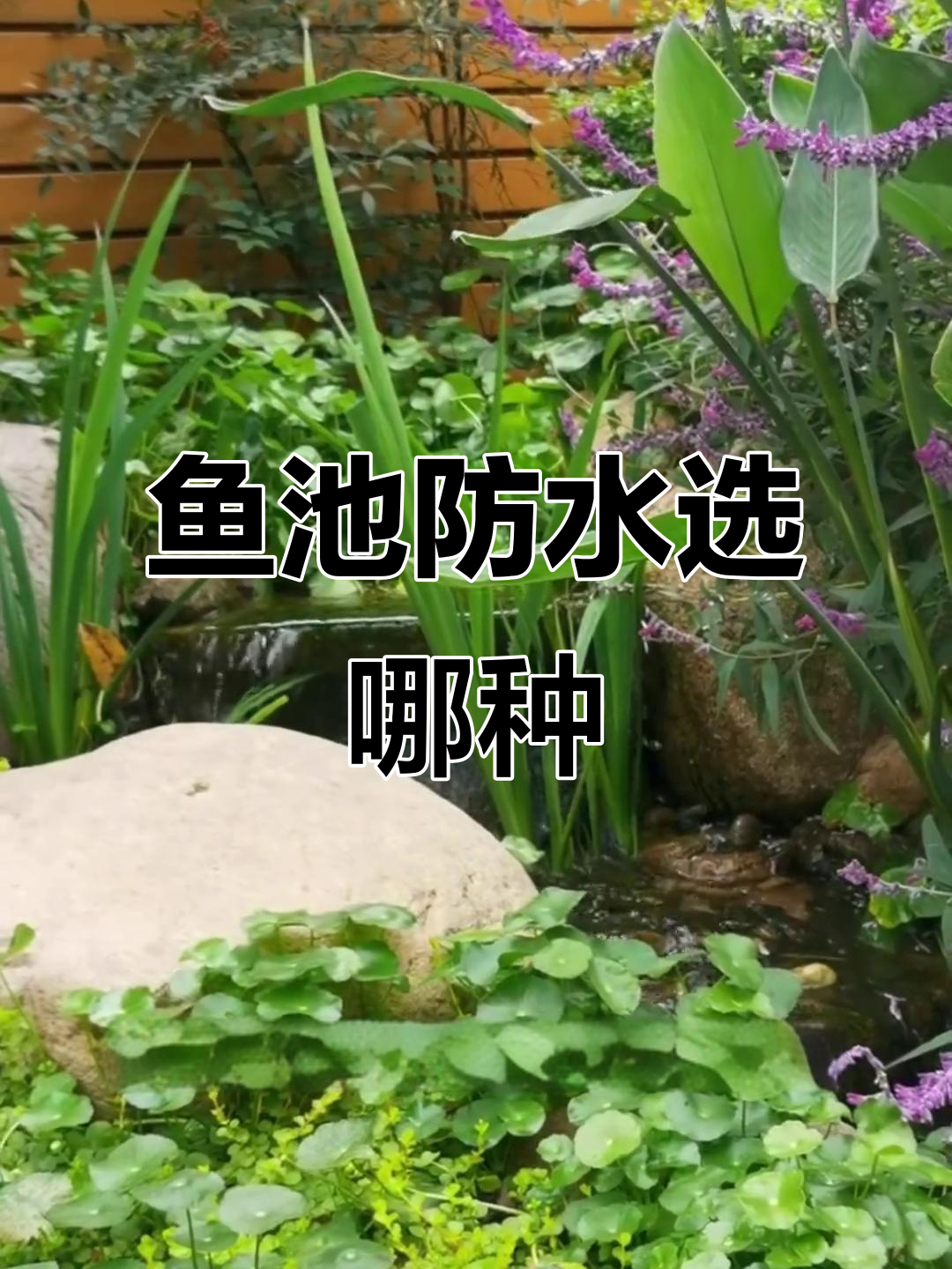 庭院鱼池防水,两种方法各有利弊,如何选择最合适?