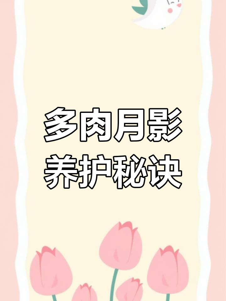 月影系列多肉养护技巧:如何避免摊开,保持美丽