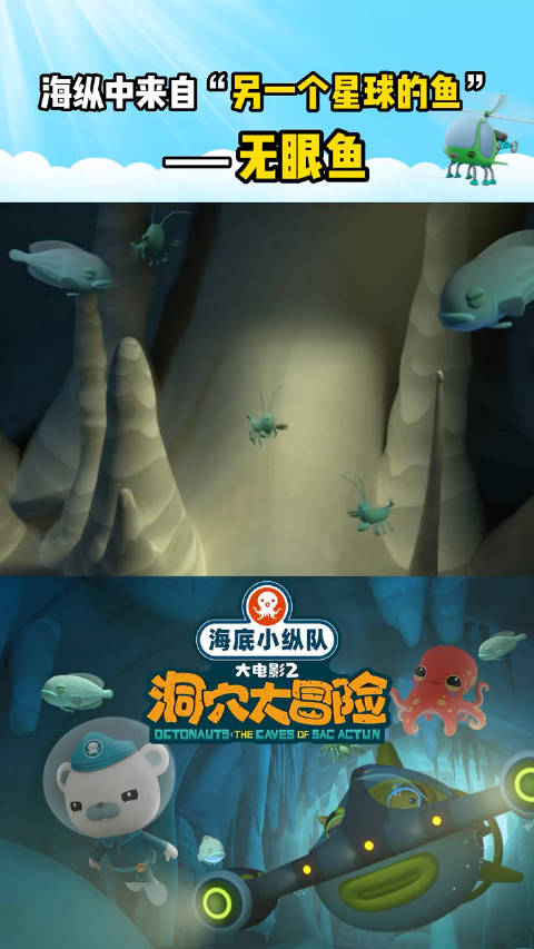 海底小纵队大电影2 海底神奇生物-无眼鱼!没有眼睛的他们究竟如何在海底觅食和生活呢?快来大