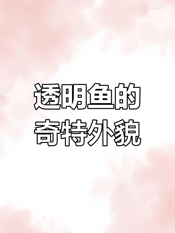 新西兰透明鱼,像果冻一样融入大海