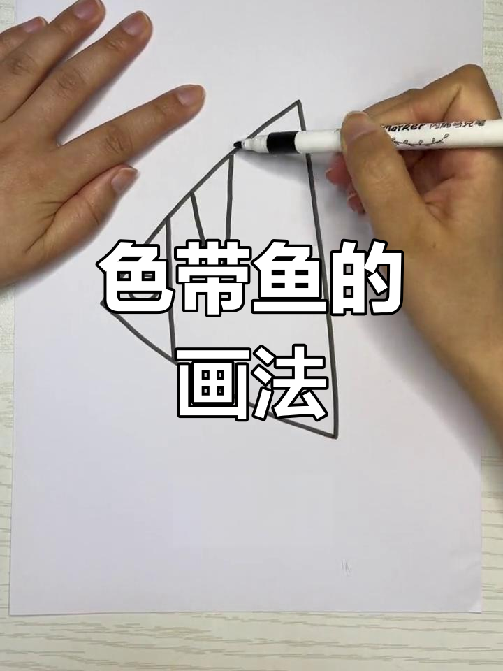 热带鱼简笔画教程