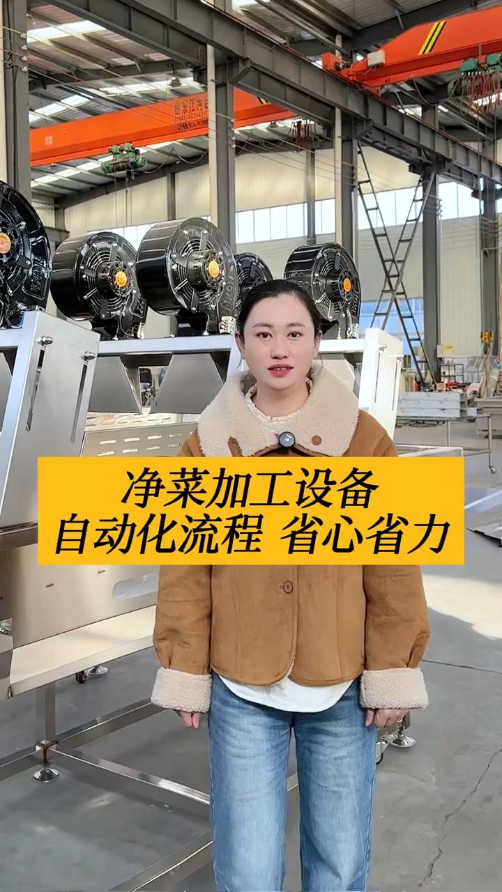 净菜加工设备生产线切菜到清洗脱水