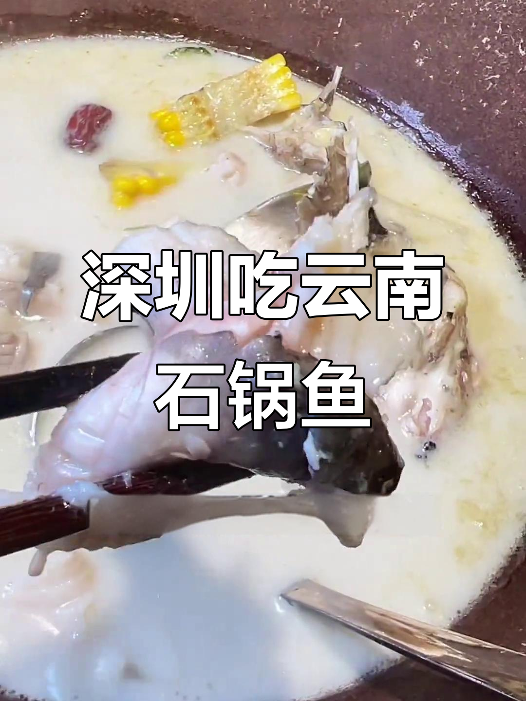 深圳也能吃到正宗云南石锅鱼,鲜美无比!