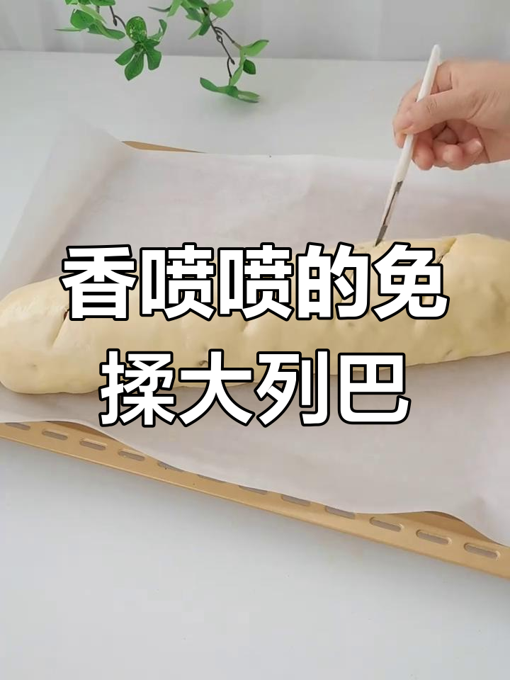 免揉大列巴面包,果料丰富口感扎实,简单又好吃