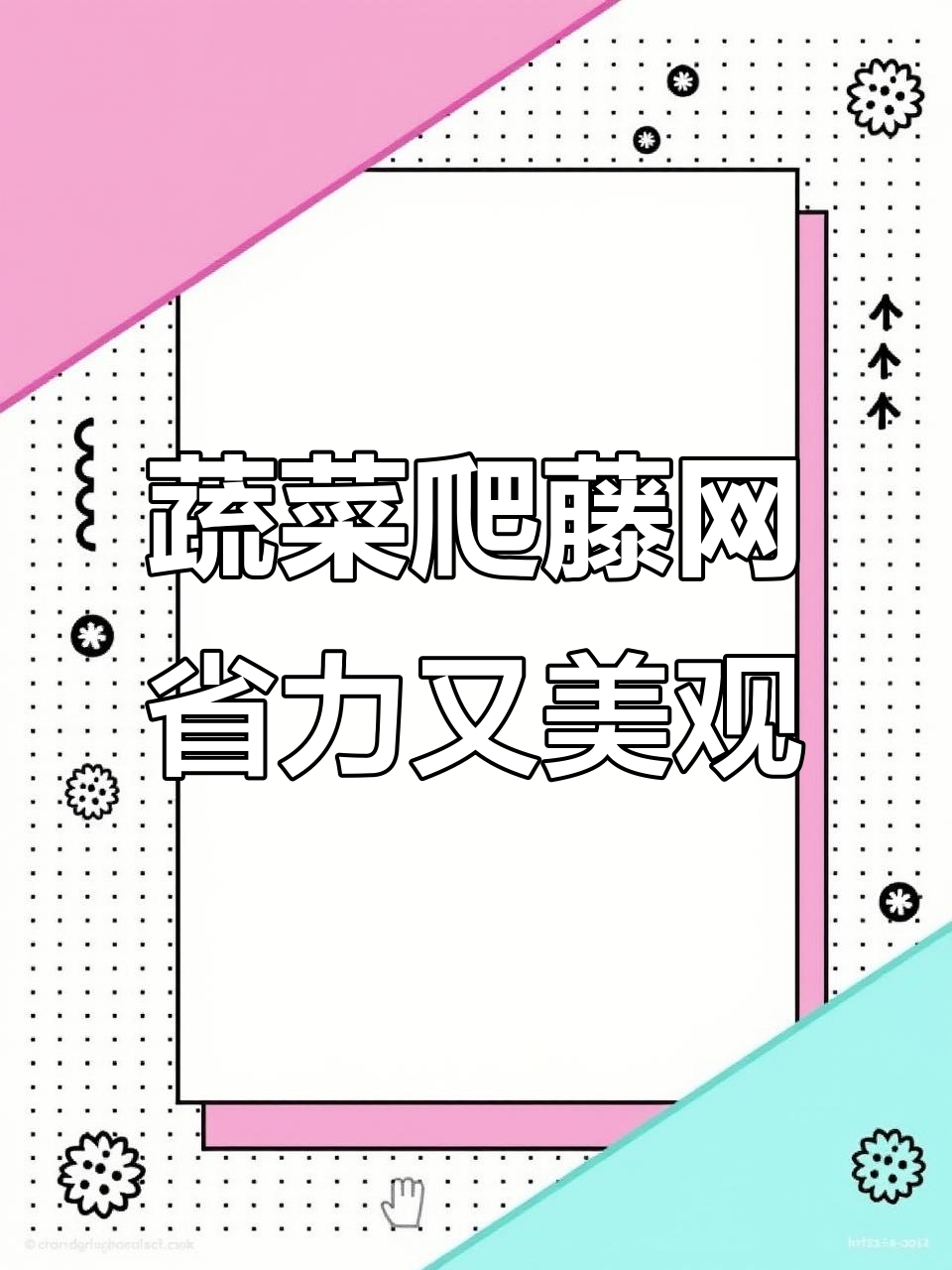 爬藤网让蔬菜轻松攀高,黄瓜豆角丝瓜都能顺其自然生长