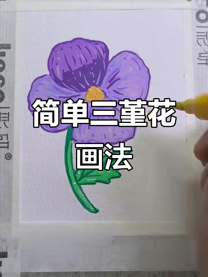 三堇花简笔画教程,轻松学会花卉绘制
