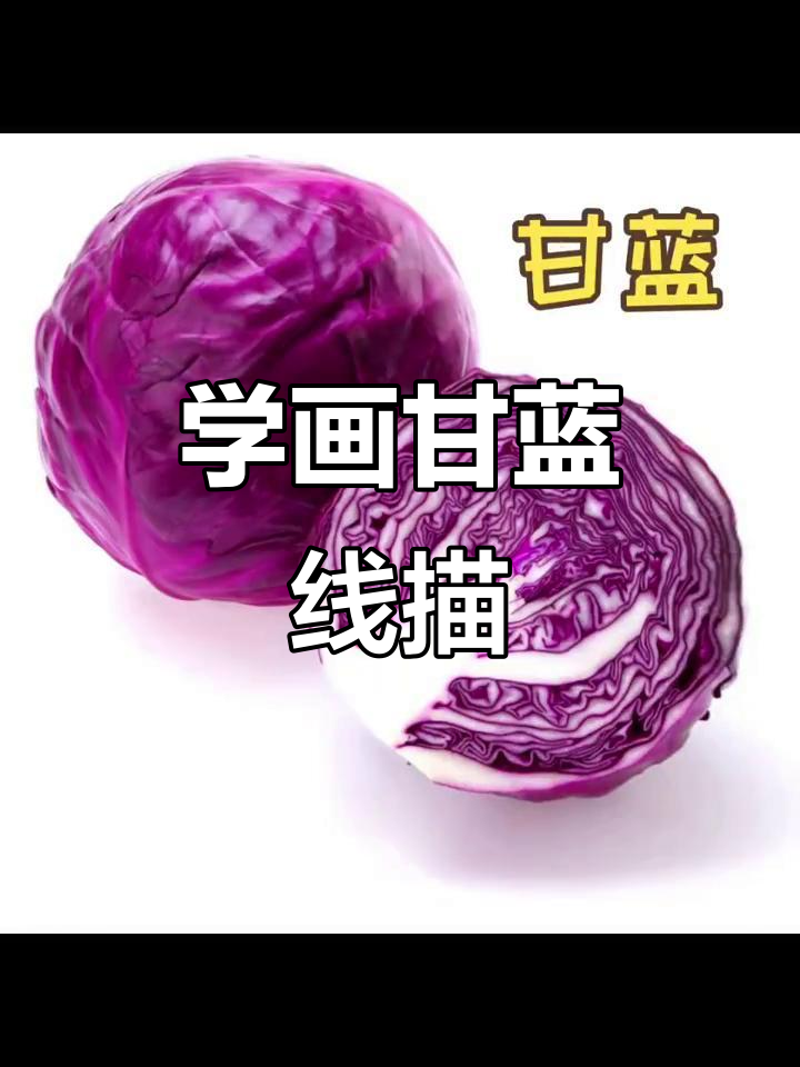 甘蓝线描写生技巧,轻松掌握蔬果素描