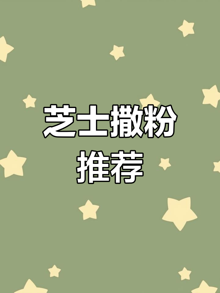 麦基斯芝士撒粉,韩式炸鸡、薯条必备美味