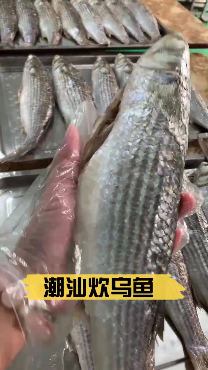 潮汕炊乌鱼