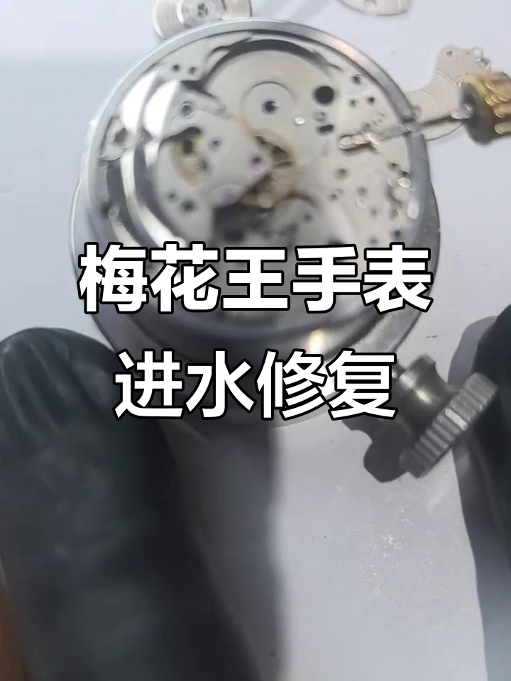 梅花王手表进水维修全过程,拆解与清洗的精细操作