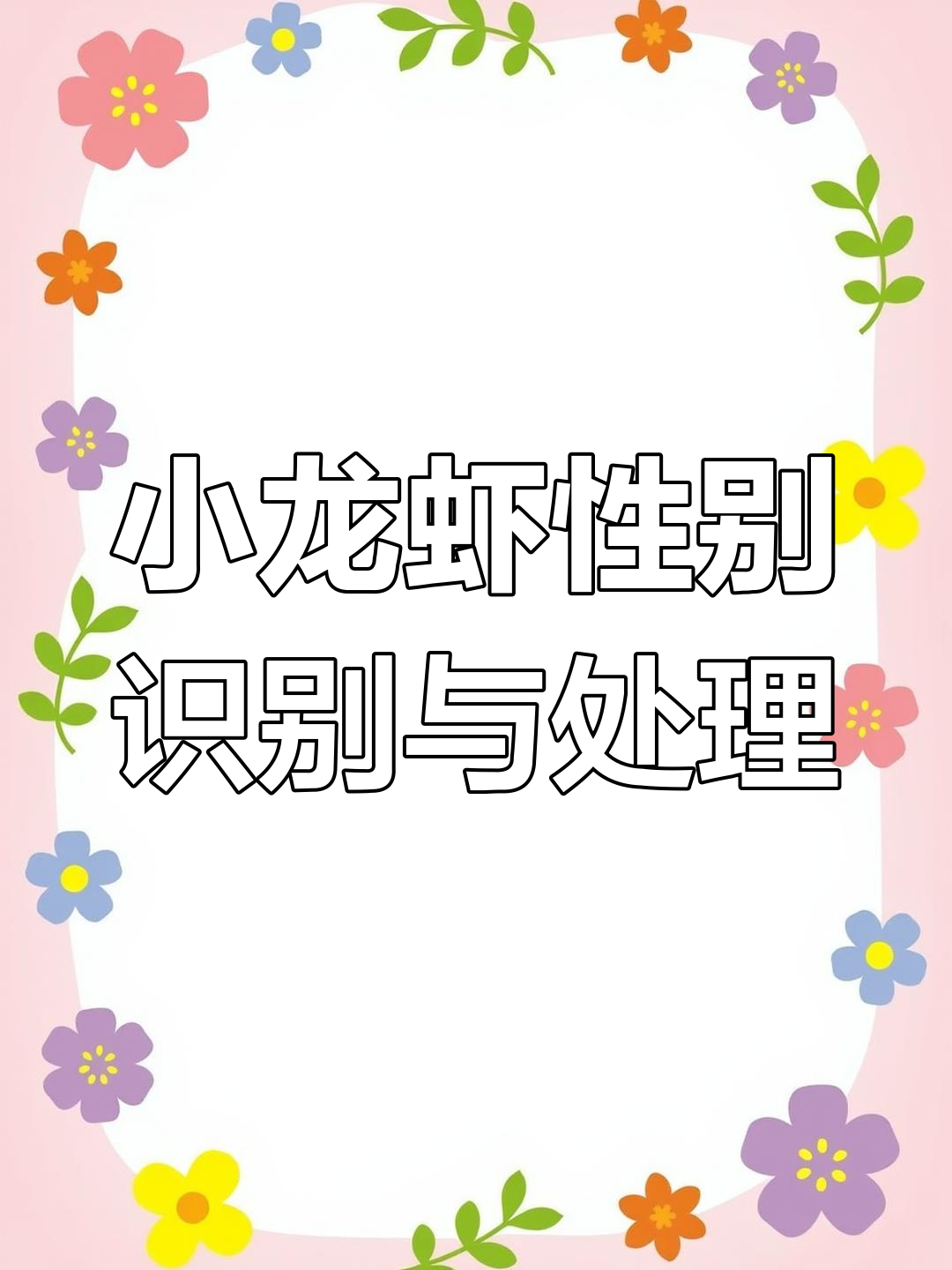 如何区分小龙虾性别与清洗技巧,轻松做出美味龙虾