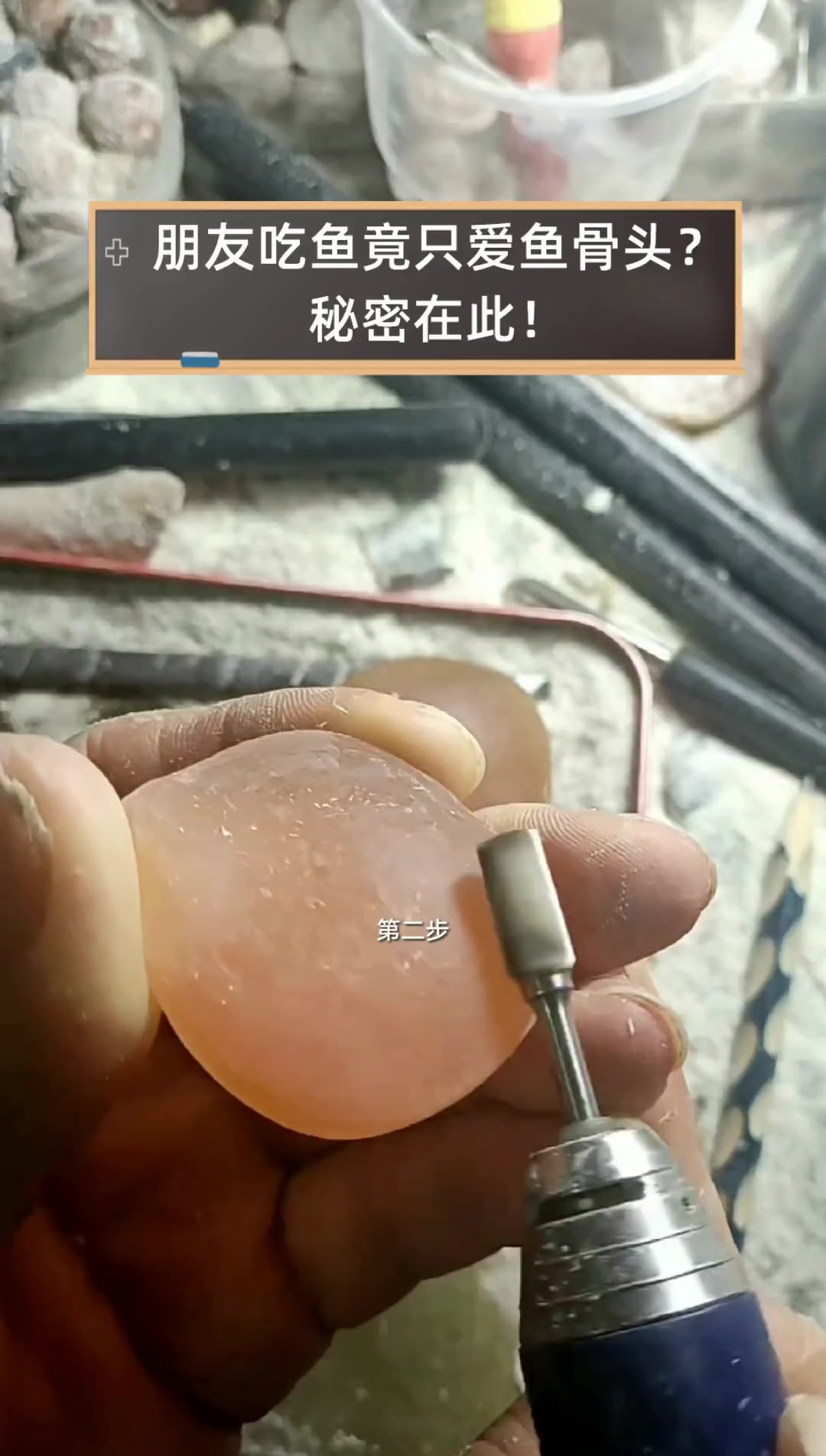 朋友吃鱼竟只爱鱼骨头?秘密在此!