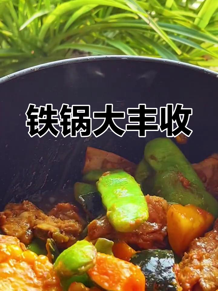 东北铁锅大丰收,排骨豆角一锅炖,香气扑鼻!